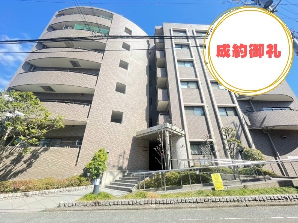 <p><span style=